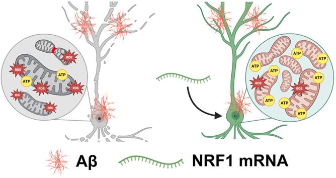 https://cdn.ncbi.nlm.nih.gov/pmc/blobs/27cc/12014405/835fabf6b46f/ga1.jpg