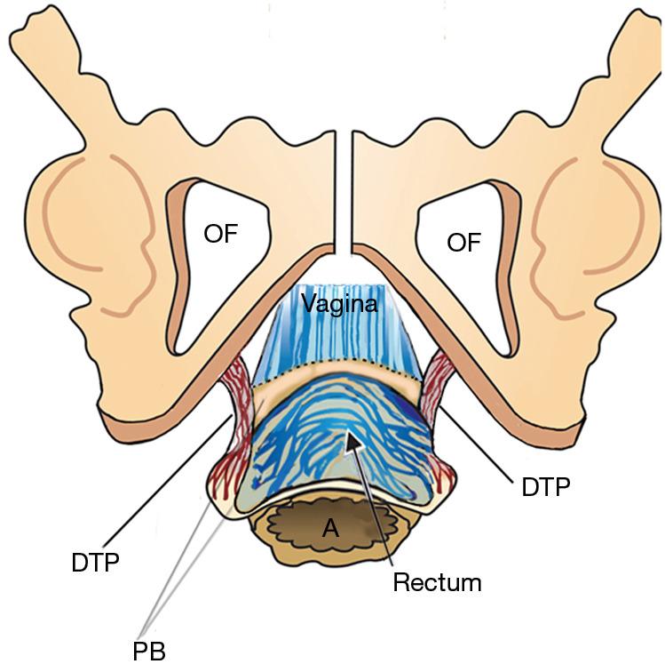 https://cdn.ncbi.nlm.nih.gov/pmc/blobs/27d0/11075961/ab9ada619539/atm-12-02-23-f9.jpg