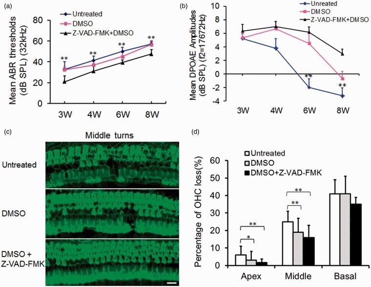 https://cdn.ncbi.nlm.nih.gov/pmc/blobs/27d0/4366423/32c03081ec5d/10.1177_1759091415573985-fig6.jpg