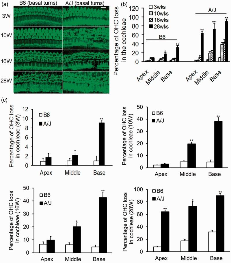 https://cdn.ncbi.nlm.nih.gov/pmc/blobs/27d0/4366423/5def00346bab/10.1177_1759091415573985-fig2.jpg