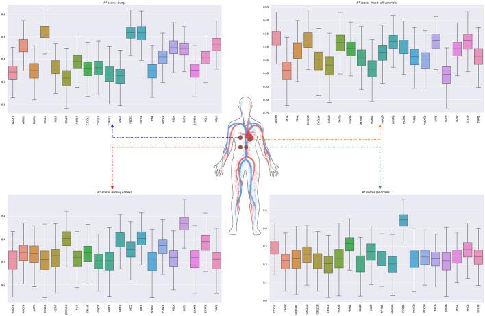 https://cdn.ncbi.nlm.nih.gov/pmc/blobs/27d0/8481902/5f5f86f3bb66/fgene-12-652907-g0007.jpg