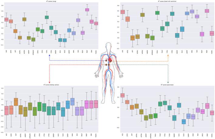 https://cdn.ncbi.nlm.nih.gov/pmc/blobs/27d0/8481902/bd24747055d8/fgene-12-652907-g0006.jpg