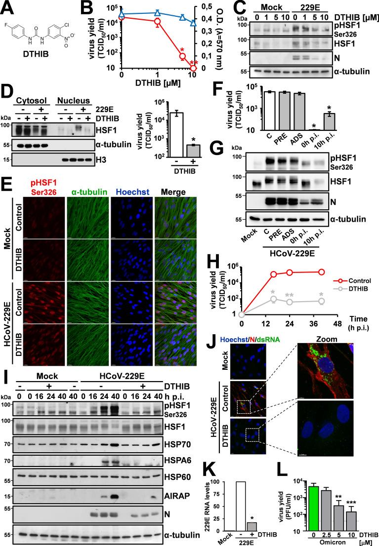 https://cdn.ncbi.nlm.nih.gov/pmc/blobs/27d2/11380654/00e797f89582/18_2024_5370_Fig6_HTML.jpg
