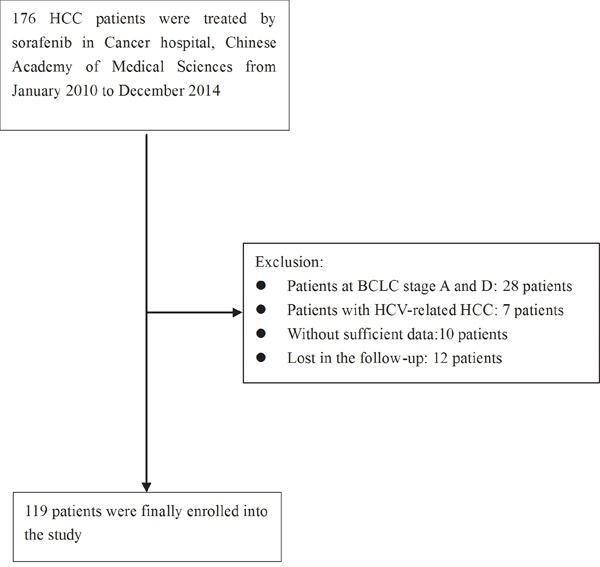 https://cdn.ncbi.nlm.nih.gov/pmc/blobs/27d3/5349941/7220ce170fbb/oncotarget-07-86630-g001.jpg