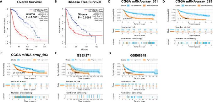 https://cdn.ncbi.nlm.nih.gov/pmc/blobs/27d3/9263977/90bfd8b614e6/fonc-12-783721-g007.jpg