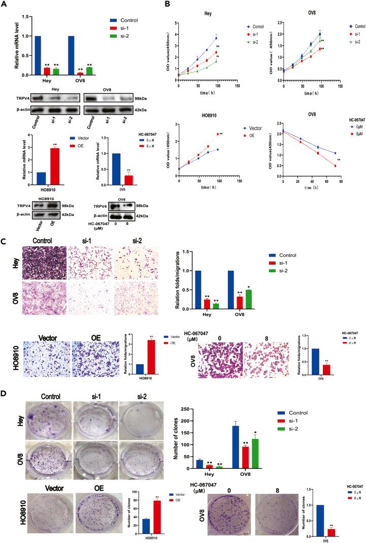https://cdn.ncbi.nlm.nih.gov/pmc/blobs/27d4/10637939/3af7fa2d8674/gr2.jpg