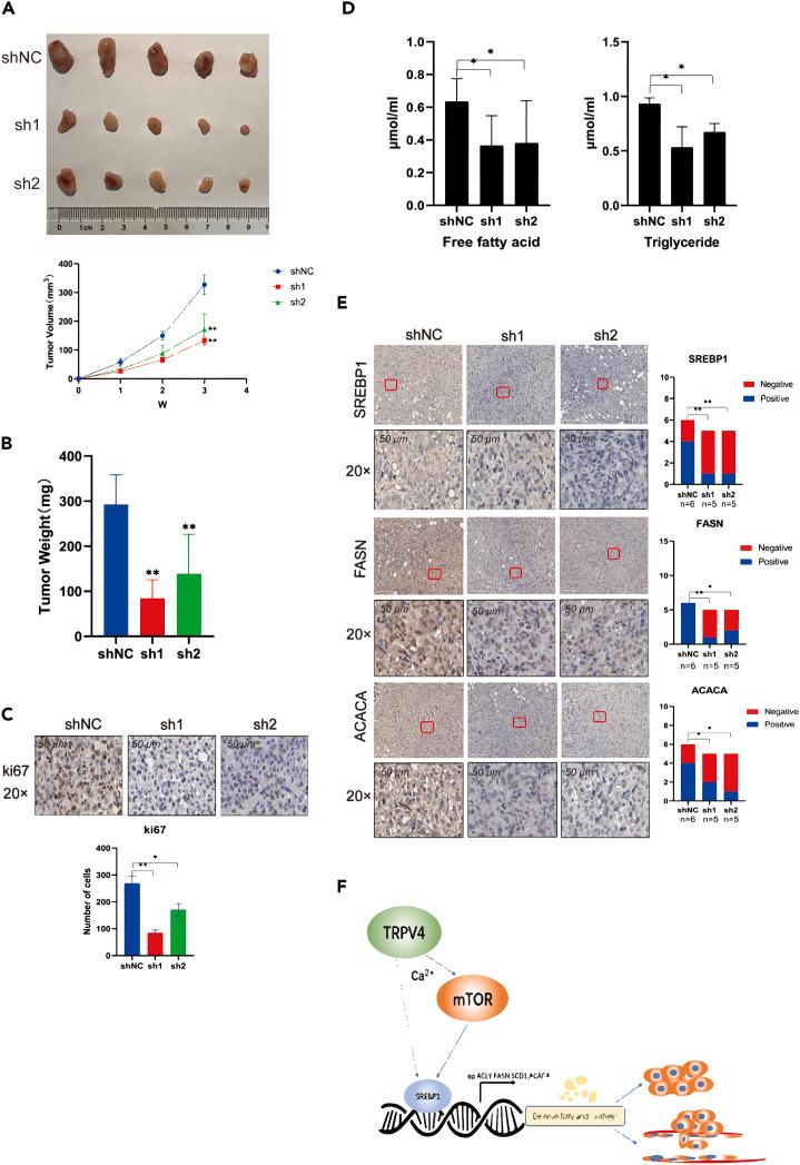 https://cdn.ncbi.nlm.nih.gov/pmc/blobs/27d4/10637939/b3c5e275b24a/gr6.jpg