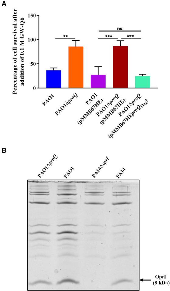 https://cdn.ncbi.nlm.nih.gov/pmc/blobs/27d4/11247311/42f7e2289141/fmicb-15-1422742-g005.jpg