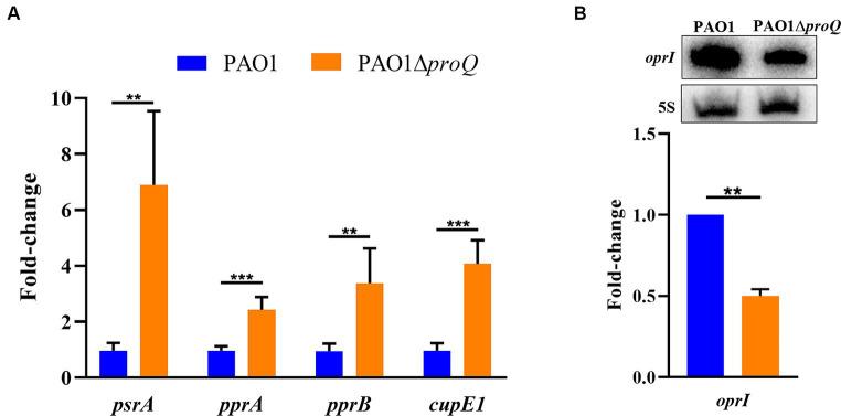 https://cdn.ncbi.nlm.nih.gov/pmc/blobs/27d4/11247311/69efdf624a84/fmicb-15-1422742-g002.jpg