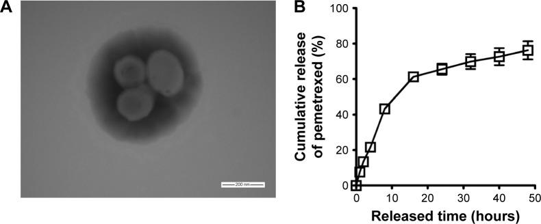 https://cdn.ncbi.nlm.nih.gov/pmc/blobs/27d4/5846754/118993249e8b/ijn-13-1327Fig1.jpg