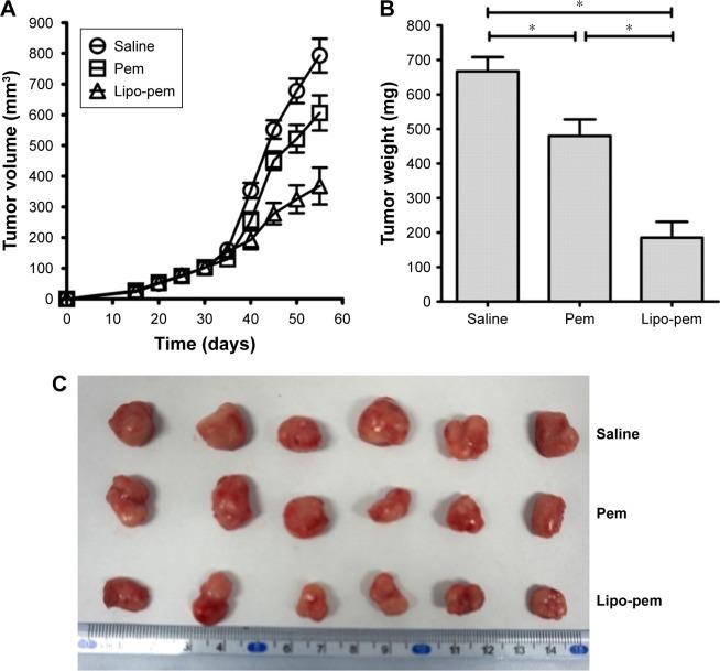 https://cdn.ncbi.nlm.nih.gov/pmc/blobs/27d4/5846754/d37d76d91c31/ijn-13-1327Fig7.jpg