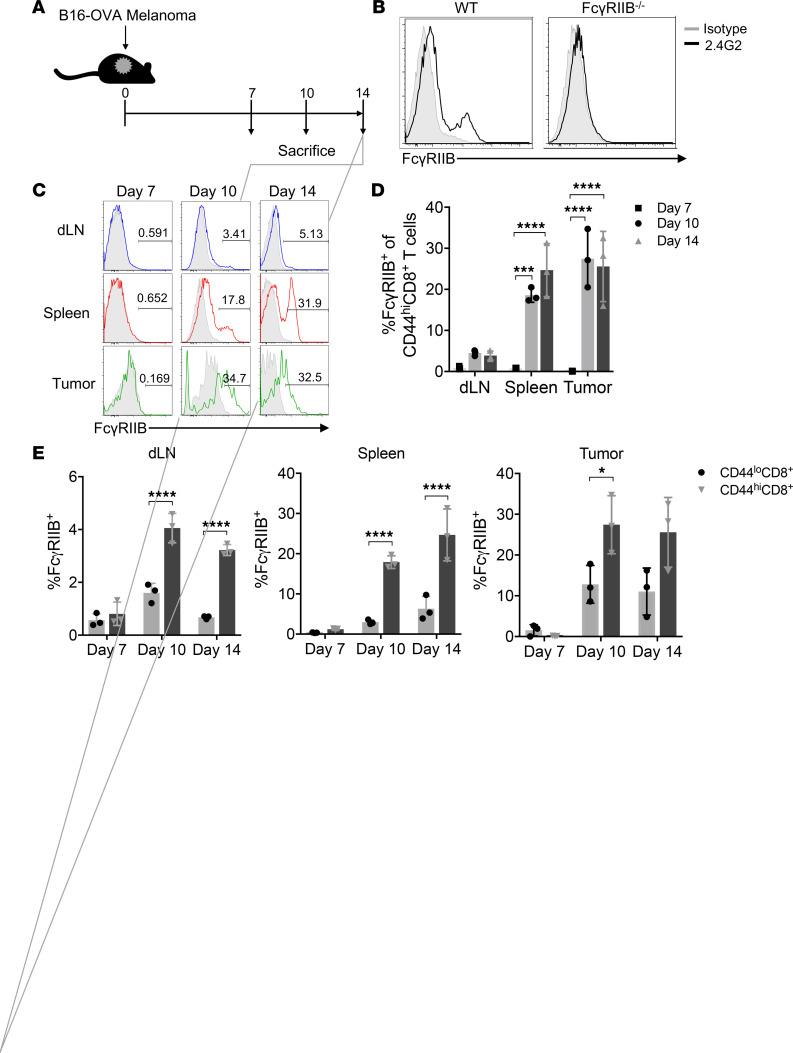 https://cdn.ncbi.nlm.nih.gov/pmc/blobs/27d4/7934918/9fdc9f67c309/jciinsight-6-135623-g236.jpg