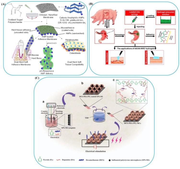 https://cdn.ncbi.nlm.nih.gov/pmc/blobs/27d7/9104595/22e4d57839e8/polymers-14-01709-g006.jpg