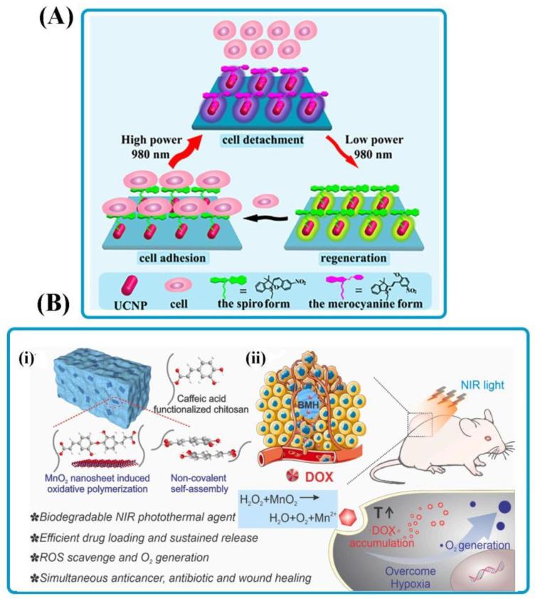 https://cdn.ncbi.nlm.nih.gov/pmc/blobs/27d7/9104595/a963309f1276/polymers-14-01709-g002.jpg