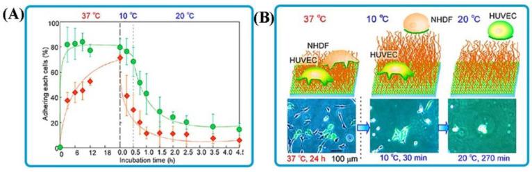 https://cdn.ncbi.nlm.nih.gov/pmc/blobs/27d7/9104595/ad8561074962/polymers-14-01709-g004.jpg