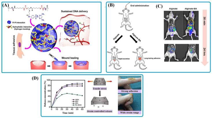 https://cdn.ncbi.nlm.nih.gov/pmc/blobs/27d7/9104595/c480250a311c/polymers-14-01709-g007.jpg