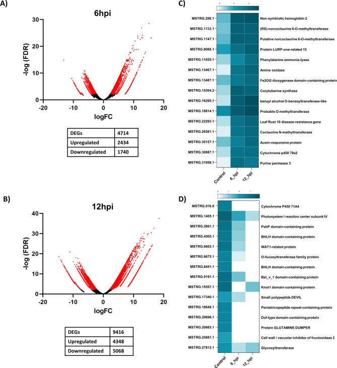 https://cdn.ncbi.nlm.nih.gov/pmc/blobs/27d9/11440725/eefaa48a0c6f/12864_2024_10802_Fig1_HTML.jpg