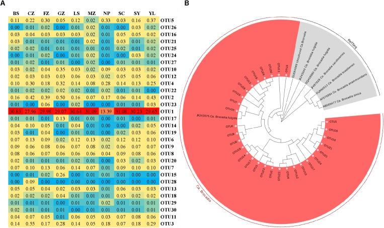 https://cdn.ncbi.nlm.nih.gov/pmc/blobs/27dd/6134040/af4223824e28/fmicb-09-02142-g005.jpg