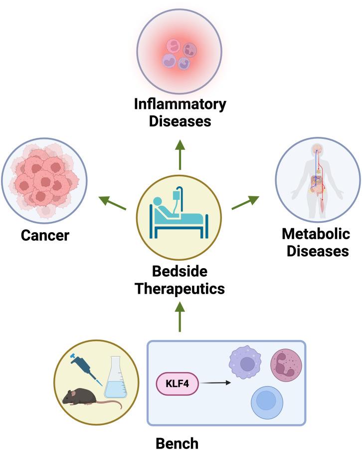https://cdn.ncbi.nlm.nih.gov/pmc/blobs/27e1/12358479/4267bc23a4b5/fimmu-16-1597210-g005.jpg