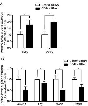 https://cdn.ncbi.nlm.nih.gov/pmc/blobs/27e1/4413630/207d59278a35/oncotarget-06-2951-g004.jpg