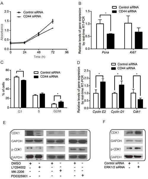 https://cdn.ncbi.nlm.nih.gov/pmc/blobs/27e1/4413630/32c51052406d/oncotarget-06-2951-g005.jpg