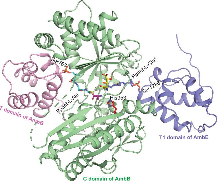 https://cdn.ncbi.nlm.nih.gov/pmc/blobs/27e1/8968710/5969338add18/41598_2022_9188_Fig6_HTML.jpg