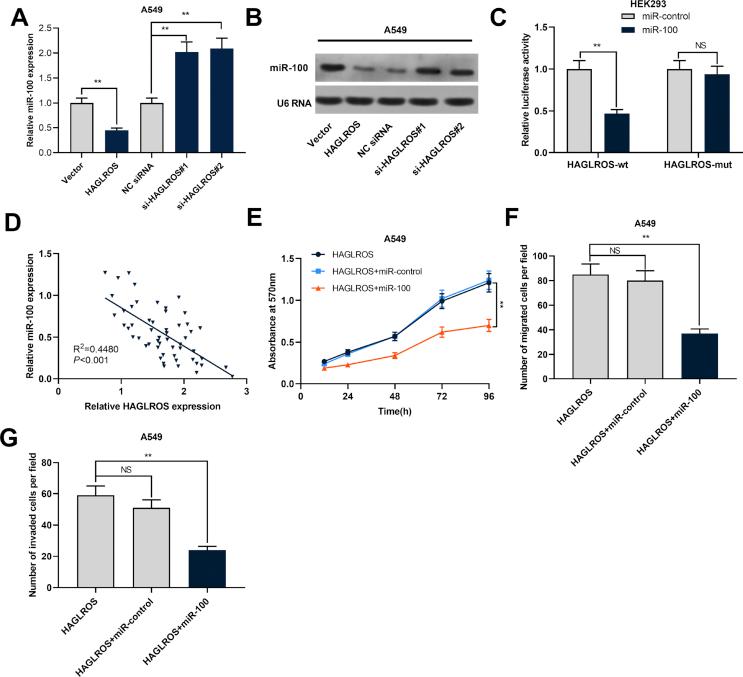 https://cdn.ncbi.nlm.nih.gov/pmc/blobs/27e3/9068548/172a9e1148a6/gr4.jpg