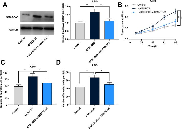 https://cdn.ncbi.nlm.nih.gov/pmc/blobs/27e3/9068548/2267a3199fae/gr6.jpg