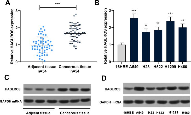 https://cdn.ncbi.nlm.nih.gov/pmc/blobs/27e3/9068548/a067e36adc58/gr1.jpg