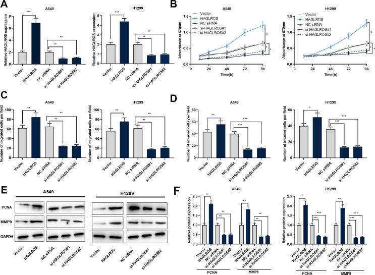 https://cdn.ncbi.nlm.nih.gov/pmc/blobs/27e3/9068548/cef2ba7b832d/gr3.jpg
