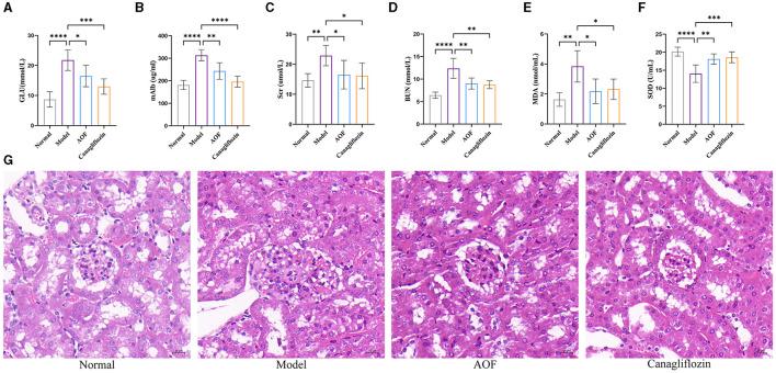 https://cdn.ncbi.nlm.nih.gov/pmc/blobs/27e6/11251962/ad220d16d5f9/fmed-11-1424644-g0002.jpg