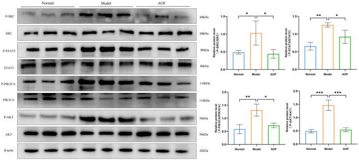 https://cdn.ncbi.nlm.nih.gov/pmc/blobs/27e6/11251962/f840e9efce4c/fmed-11-1424644-g0008.jpg