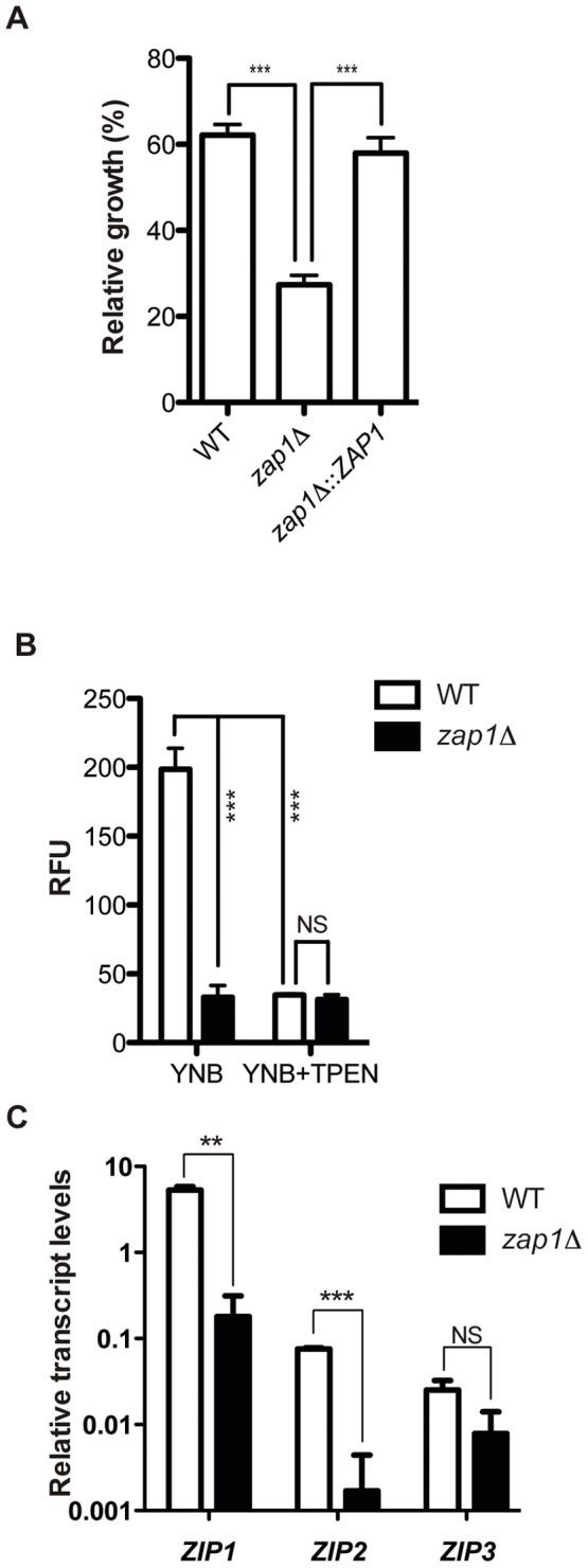 https://cdn.ncbi.nlm.nih.gov/pmc/blobs/27e6/3423376/af0ae698cce0/pone.0043773.g002.jpg