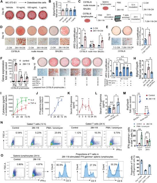 https://cdn.ncbi.nlm.nih.gov/pmc/blobs/27e7/10558680/5d10d9bc43ea/ADVS-10-2300989-g006.jpg