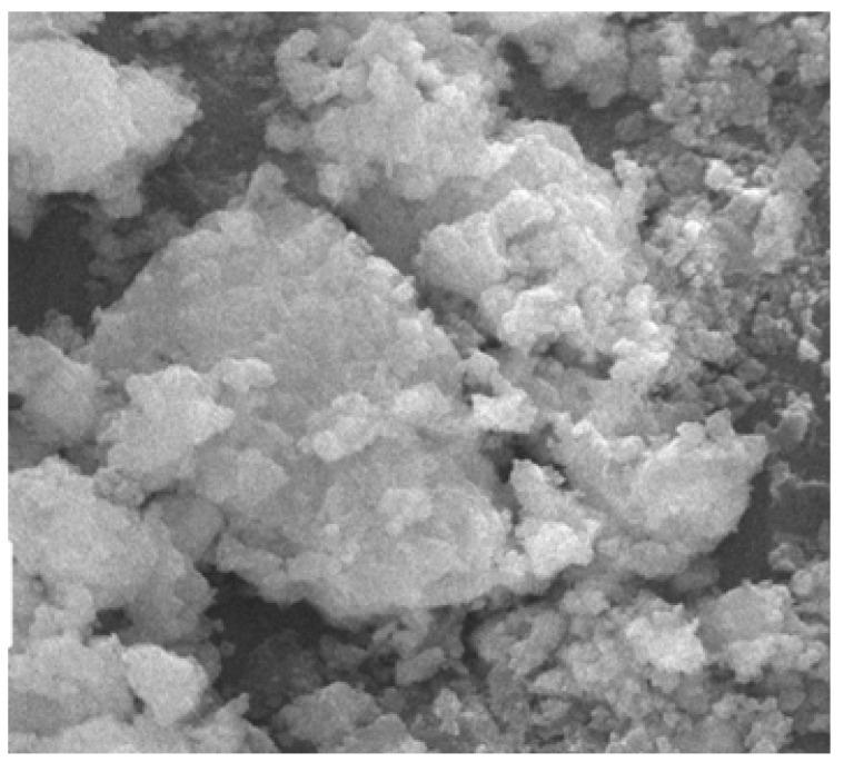 https://cdn.ncbi.nlm.nih.gov/pmc/blobs/27e7/8658840/648c1d018dd9/materials-14-07420-g016.jpg