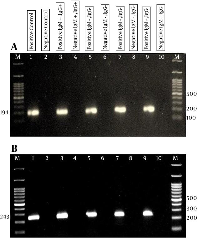 https://cdn.ncbi.nlm.nih.gov/pmc/blobs/27e8/4842229/3d6675636ea8/jjm-09-02-29493-g001.jpg