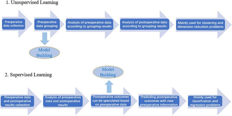 https://cdn.ncbi.nlm.nih.gov/pmc/blobs/27e9/10935786/d2204a95a9cd/40001_2024_1759_Fig1_HTML.jpg
