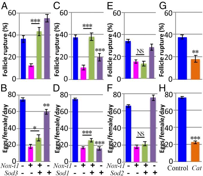 https://cdn.ncbi.nlm.nih.gov/pmc/blobs/27e9/6065002/775b45fb4f1f/pnas.1800115115fig04.jpg