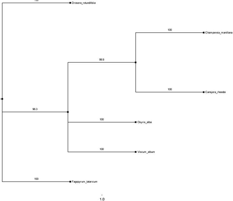 https://cdn.ncbi.nlm.nih.gov/pmc/blobs/27ea/7748650/92e072240e3f/TMDN_A_1703582_F0001_B.jpg