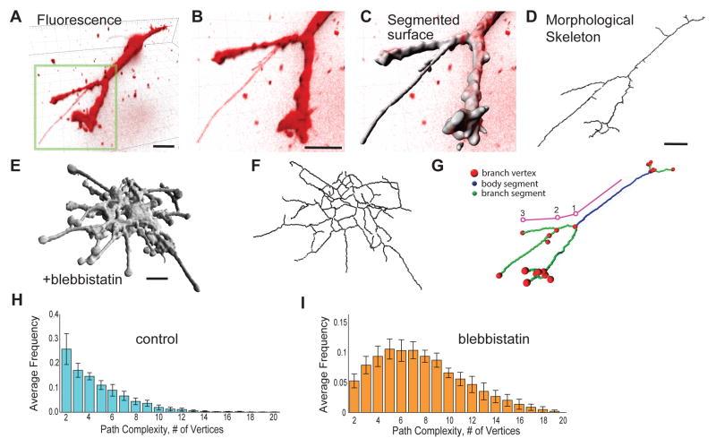 https://cdn.ncbi.nlm.nih.gov/pmc/blobs/27ec/4312523/34401fa935b6/nihms648907f1.jpg
