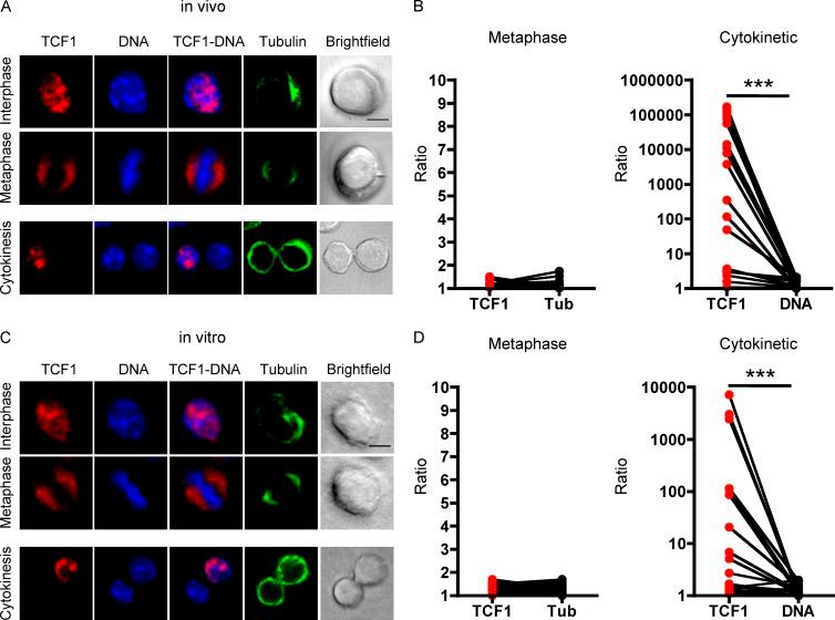 https://cdn.ncbi.nlm.nih.gov/pmc/blobs/27ec/5206501/1a3dd4dc291f/JEM_20161046_Fig5.jpg