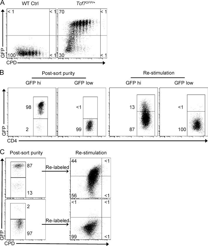 https://cdn.ncbi.nlm.nih.gov/pmc/blobs/27ec/5206501/afcd40b00f4e/JEM_20161046_Fig2.jpg