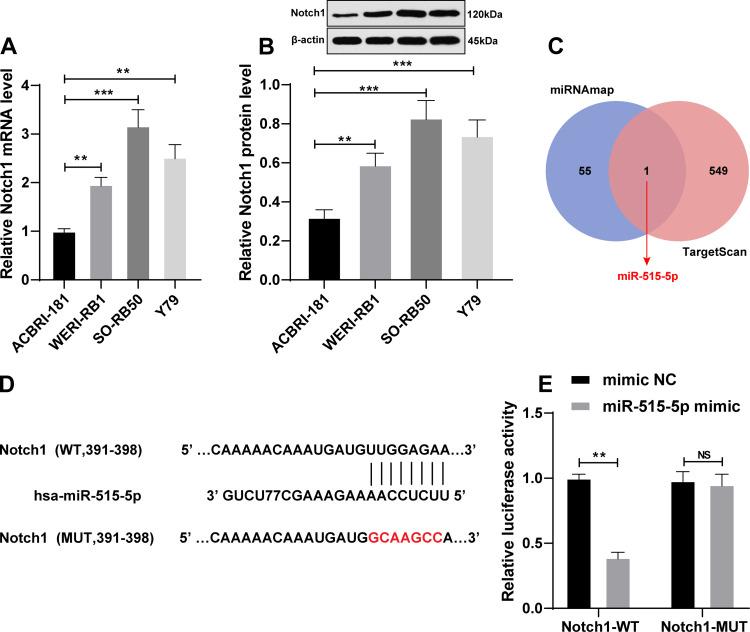 https://cdn.ncbi.nlm.nih.gov/pmc/blobs/27ed/7700094/ec0e37172d84/CMAR-12-12087-g0001.jpg