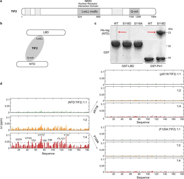 https://cdn.ncbi.nlm.nih.gov/pmc/blobs/27ef/11864982/1aaecfe93729/41586_2024_8400_Fig15_ESM.jpg