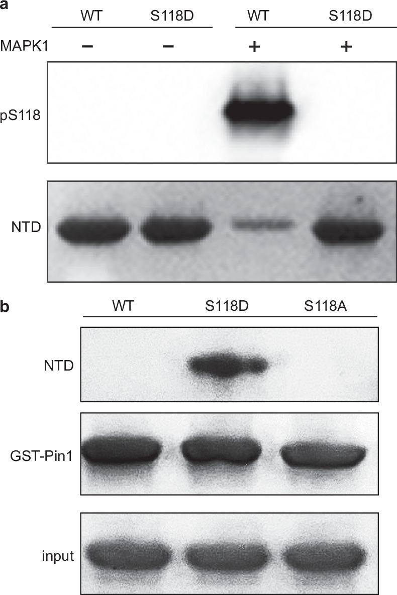 https://cdn.ncbi.nlm.nih.gov/pmc/blobs/27ef/11864982/478de60b1e1f/41586_2024_8400_Fig10_ESM.jpg