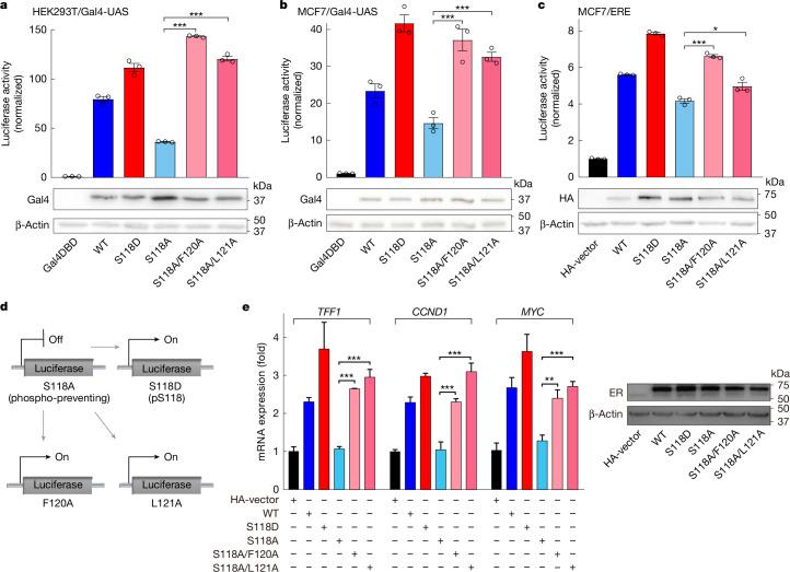 https://cdn.ncbi.nlm.nih.gov/pmc/blobs/27ef/11864982/811112de3d78/41586_2024_8400_Fig4_HTML.jpg