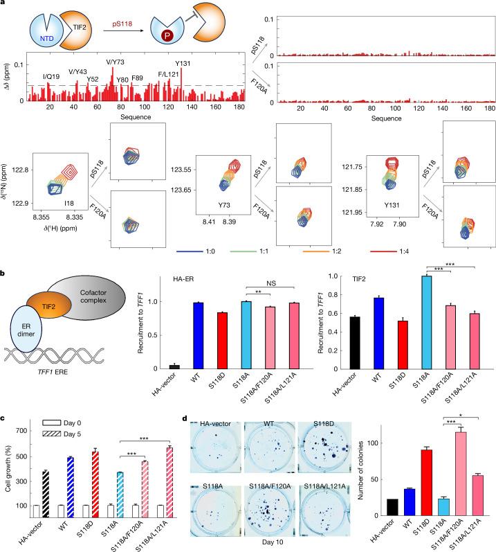 https://cdn.ncbi.nlm.nih.gov/pmc/blobs/27ef/11864982/ca85d2998545/41586_2024_8400_Fig5_HTML.jpg