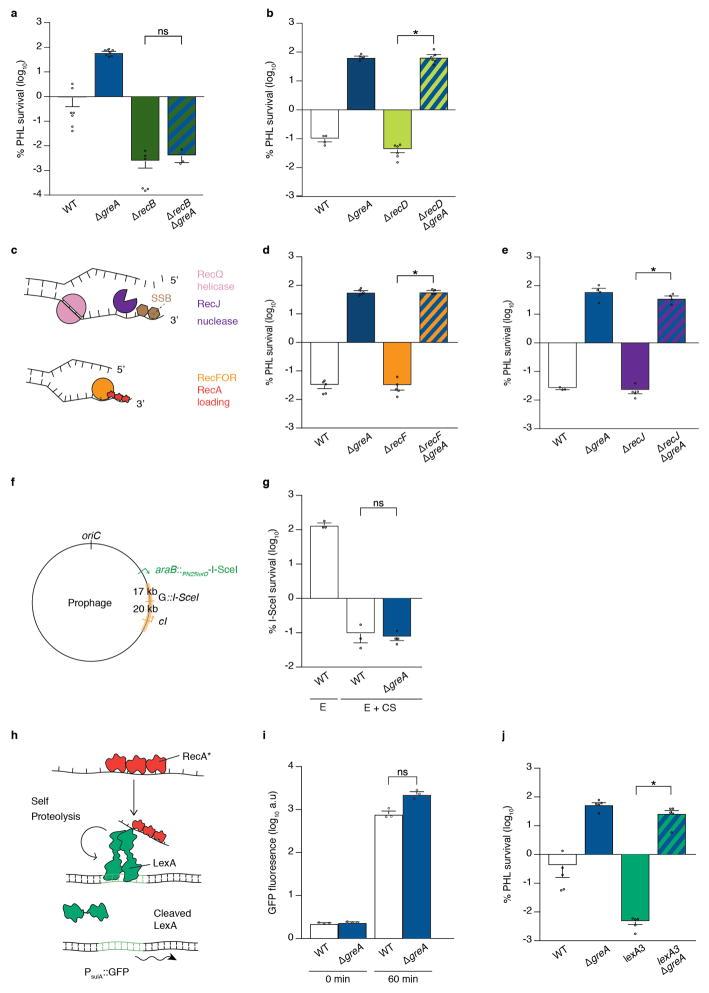 https://cdn.ncbi.nlm.nih.gov/pmc/blobs/27ef/5654330/90b27a80b7e0/nihms898456f9.jpg