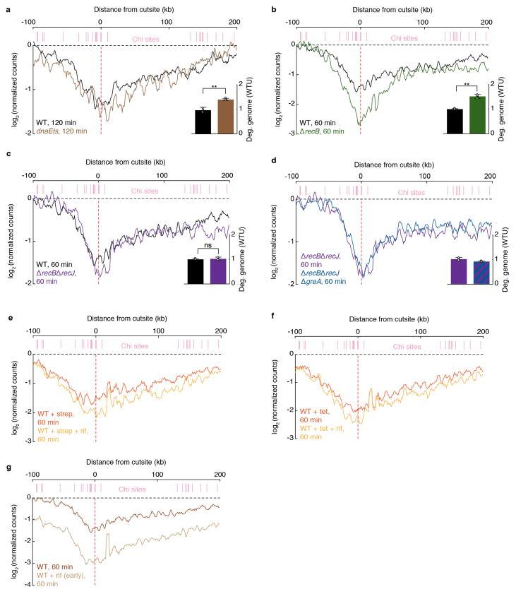https://cdn.ncbi.nlm.nih.gov/pmc/blobs/27ef/5654330/971a151e7142/nihms898456f13.jpg