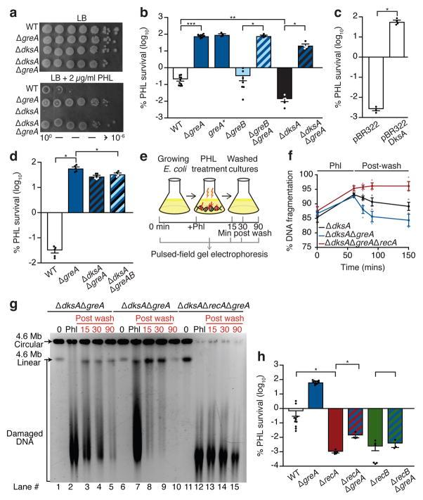 https://cdn.ncbi.nlm.nih.gov/pmc/blobs/27ef/5654330/acd7866750d0/nihms898456f1.jpg